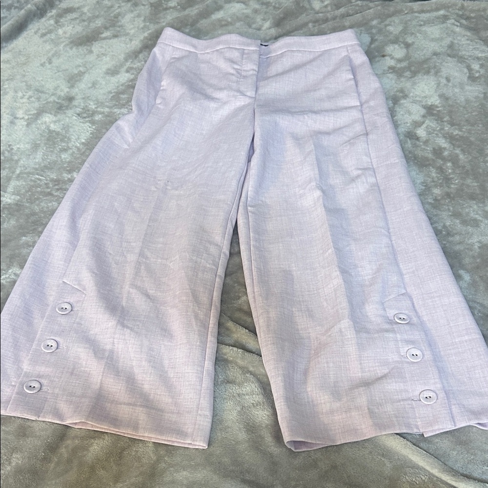 Ann Taylor Lavender Wide Leg Pants